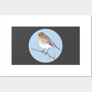 European Robin Posters and Art